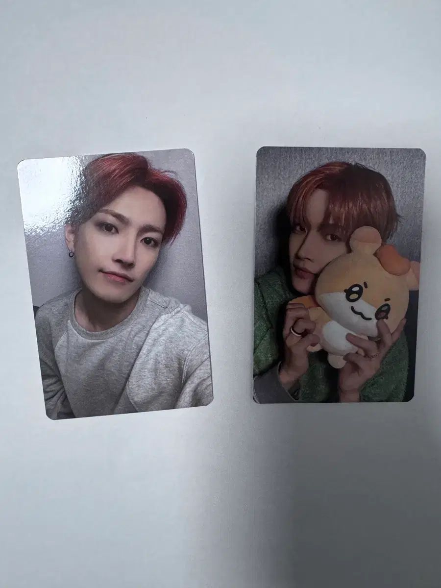 MY Tシャツ あんさんぶるスターズ あんスタ HONGJOONG 写真 フォト PHOTO カード セット