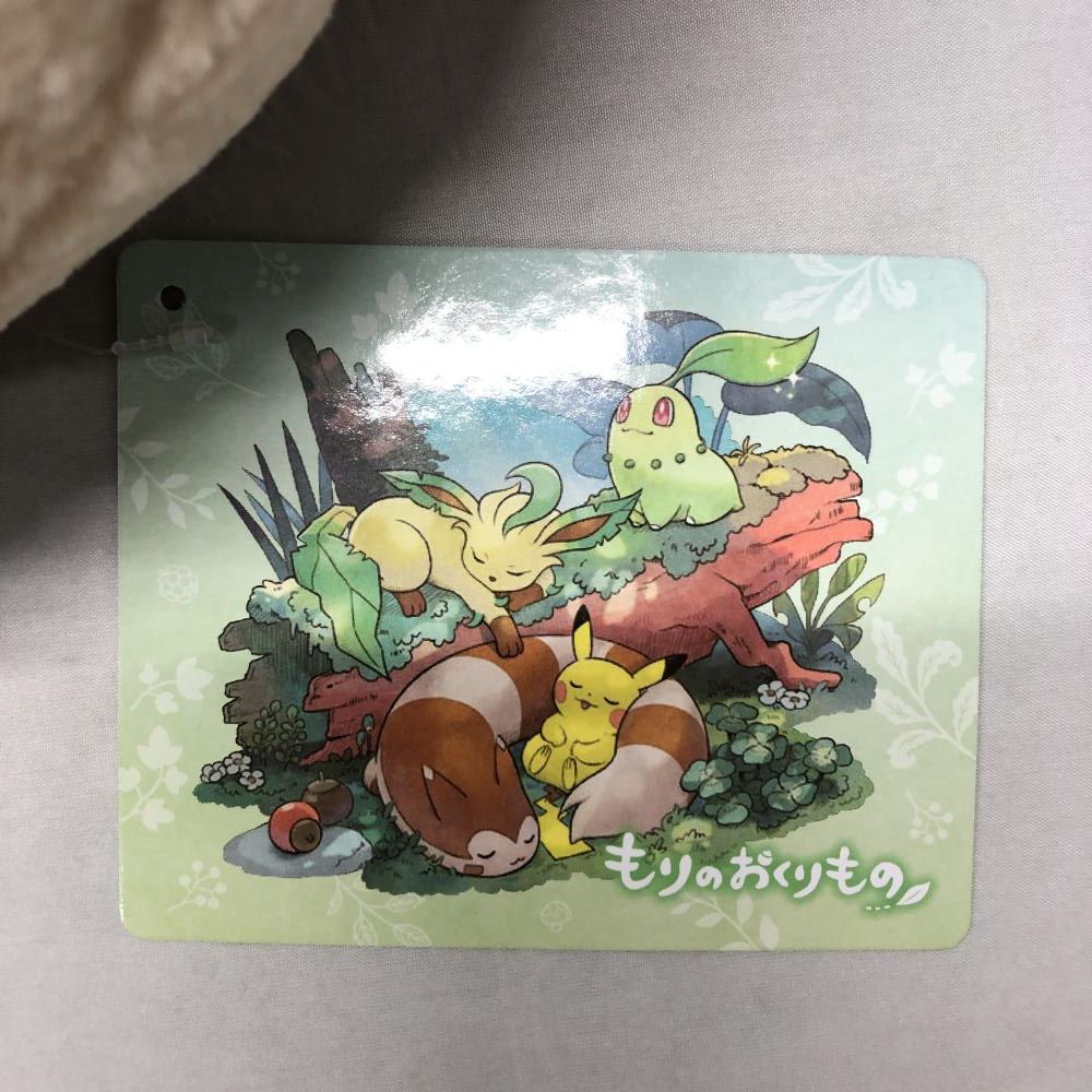 もりのおくりもの ポケットモンスター