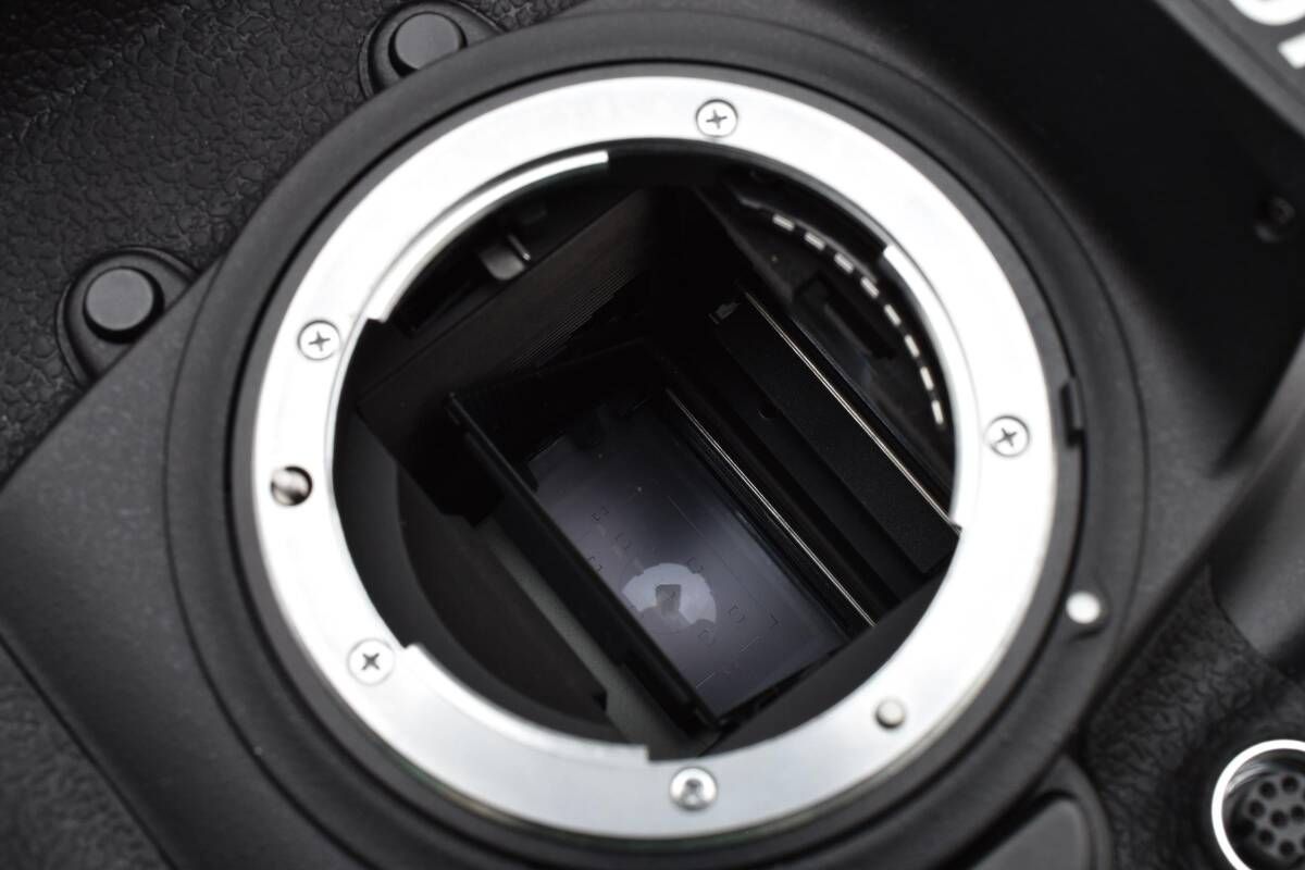 ☆極上品☆《ショット数22,832回》ニコン NIKON D2X ボディ☆ YM9267