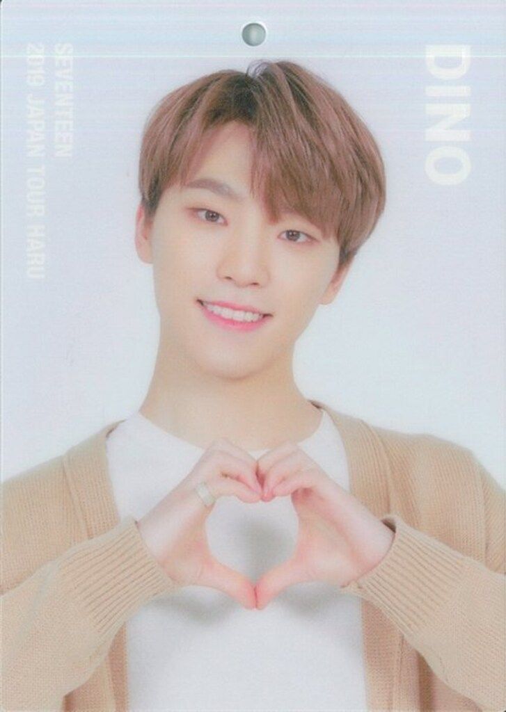 SEVENTEEN 2019 HARU DINO トレーディングカード 101 - メルカリ