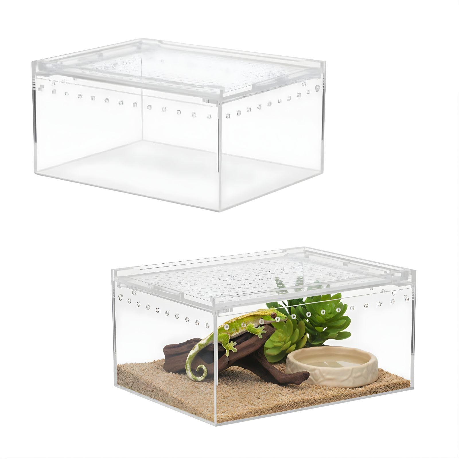 サイドアクリル　爬虫類　飼育ケージ SESHIS 爬虫類 ケージ ボックス 飼育 ケース アクリル 20x15x10cm 2個