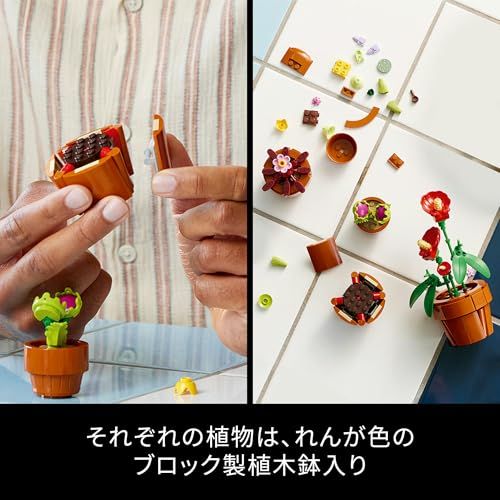  レゴ LEGO ボタニカル ミニ観葉植物セット おもちゃ 玩具 プレゼント ブロック 男性 女性 観葉植物 フェイクグリーン インテリア オシャレ 母 父 10329 m LEGO(レゴ) ブロック玩具