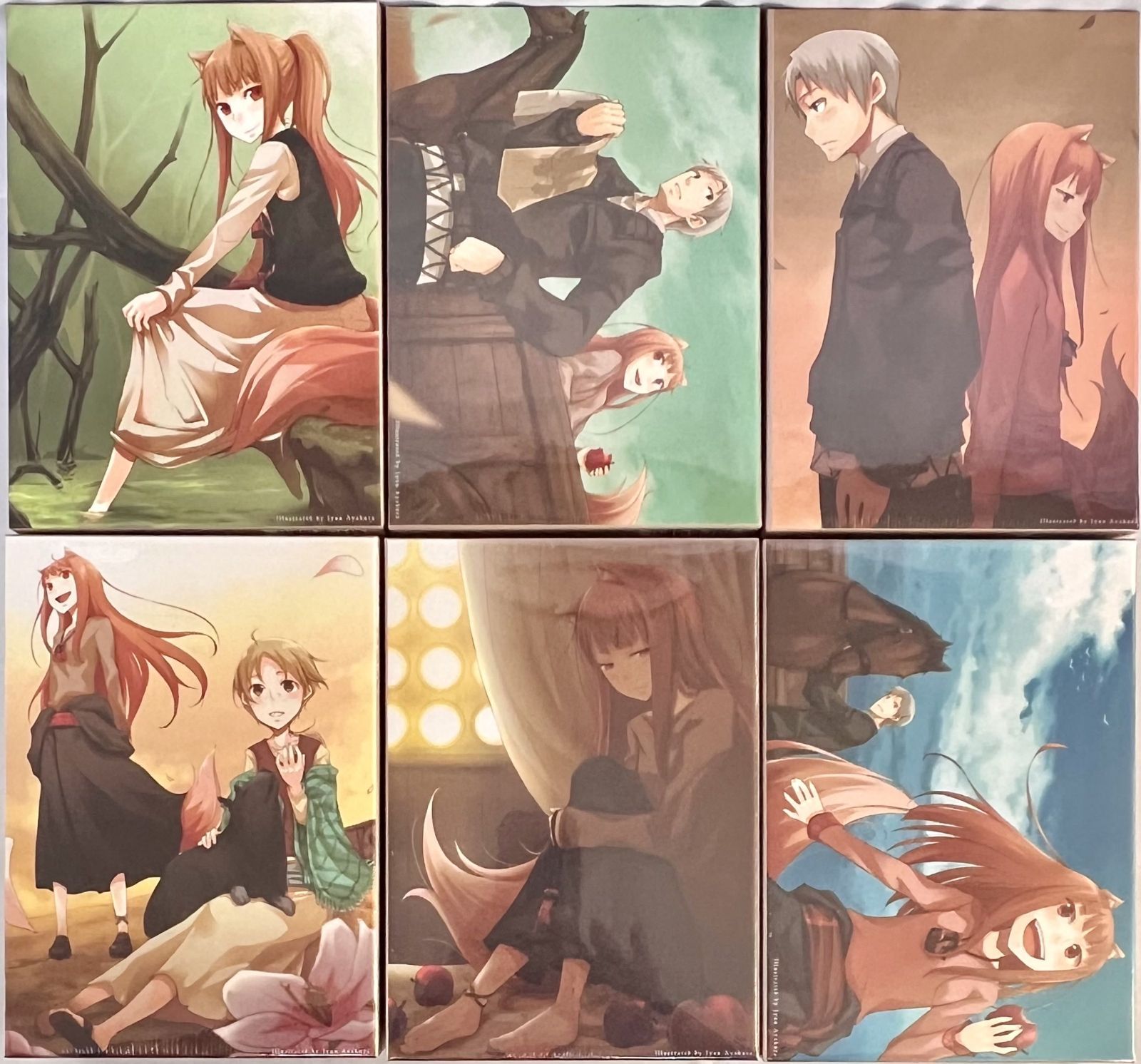 DVD 狼と香辛料 限定パック 全6巻 - メルカリ DVD 狼と香辛料 限定パック 全6巻 - メルカリ