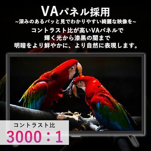 山善 テレビ Wチューナー 液晶 24インチ ハイビジョン QRTN-24W2K☆m