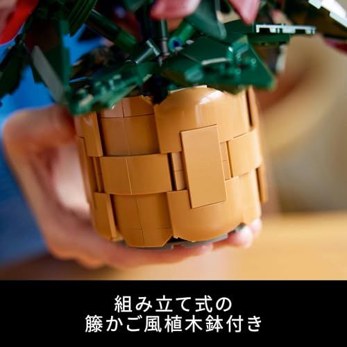 LEGO ボタニカル