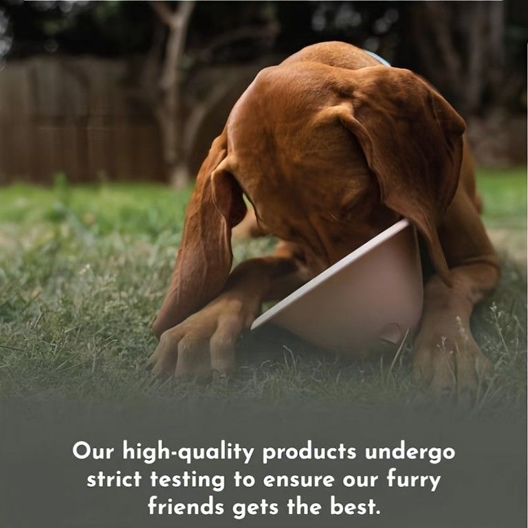 フローライト犬の置物　ポメラニアン　集中力　洞察力　ストレス解放　思考力アップ フローライト犬の置物 ポメラニアン 集中力 洞察力 ストレス解放 思考