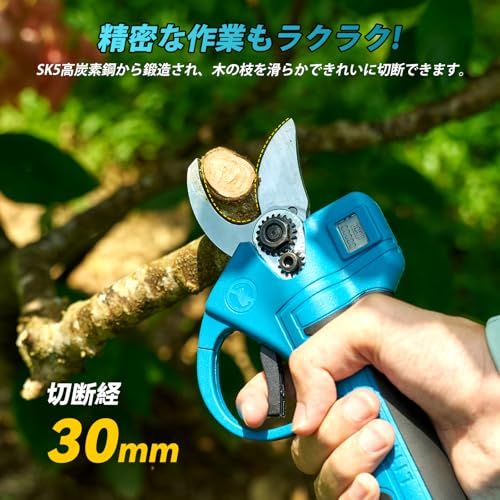  2025最新改良 Elikliv 充電式剪定ばさみ 電動剪定バサミ 電動ハサミ 切断直径30 mm 高枝切りの延長ポールと接続 LEDディスプレイ搭載 ブラシレスモーター採用 2000 mAh大容量バッテリ―付き 軽量 ポータブル枝切 9753 be 66 その他 キッチン 食器