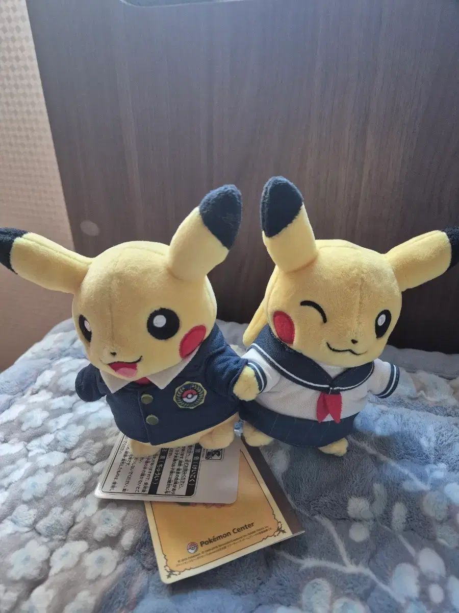 ポケットモンスター 2016年4月 モンスリーペアー ピカチュウ