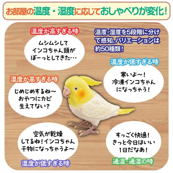 あの天才インコちゃんがもっとお利口になった