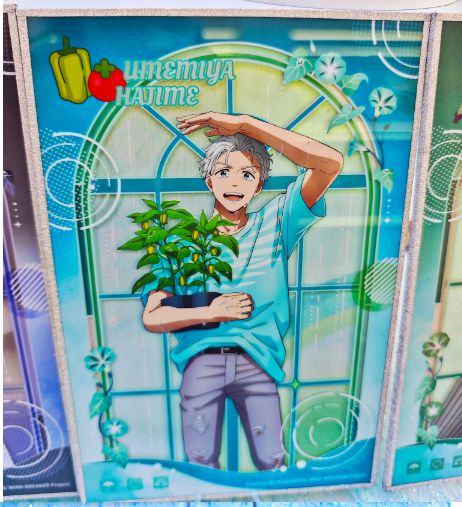 中国限定 WIND BREAKER ウィンド ブレーカー 梅宮一 アクリル色紙