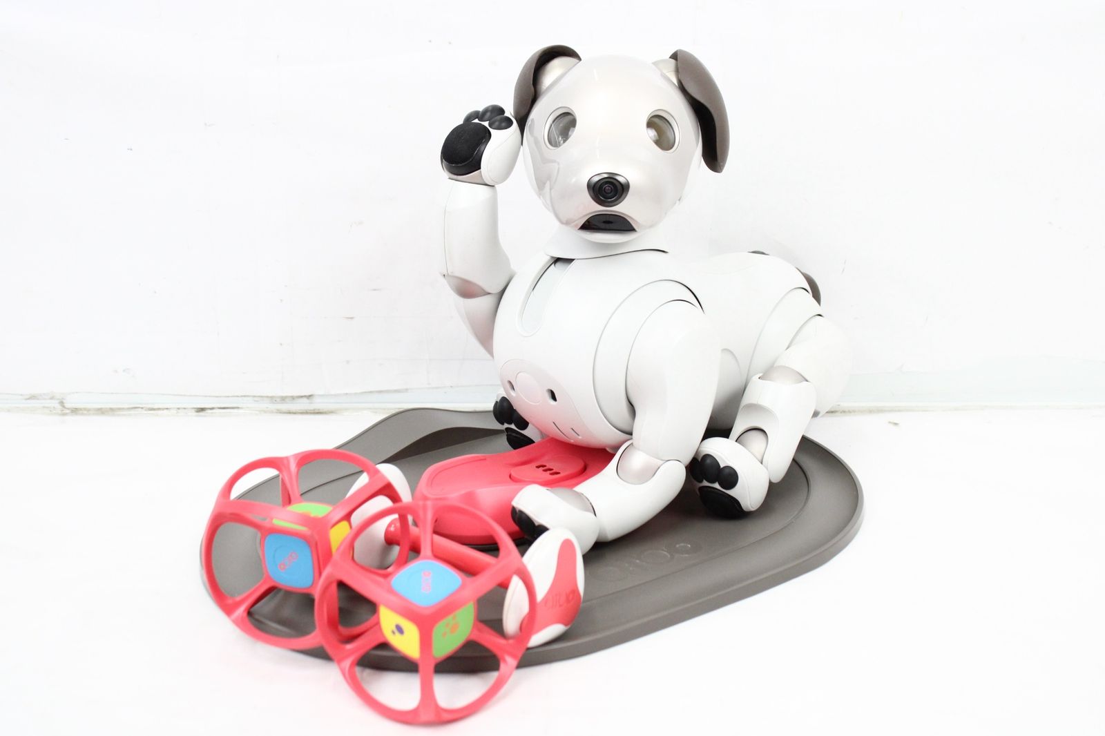 ソニー アイボ ERS-1000 アイボーン サイコロ AIBO 犬型 ロボット