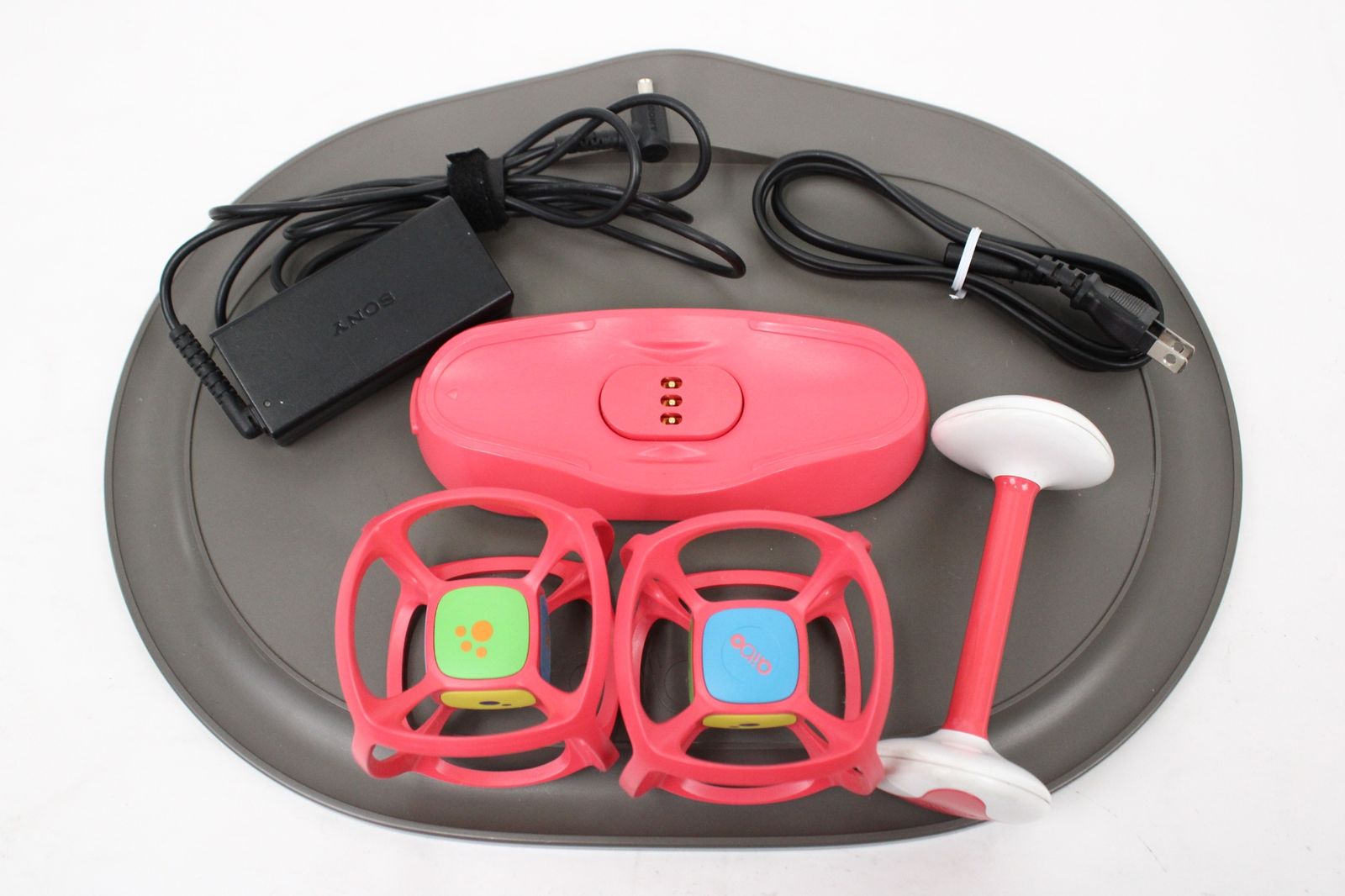 ソニー アイボ ERS-1000 アイボーン サイコロ AIBO 犬型 ロボット