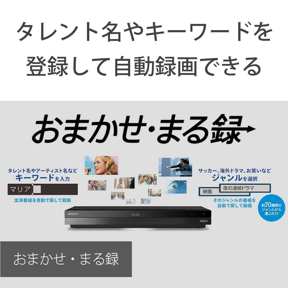 SONY BDZ-FBW2100 2TB 2番組録画 ソニー 2TB 2チューナー 4K ブルーレイレコーダー BDZ-FBW2100 4K放送