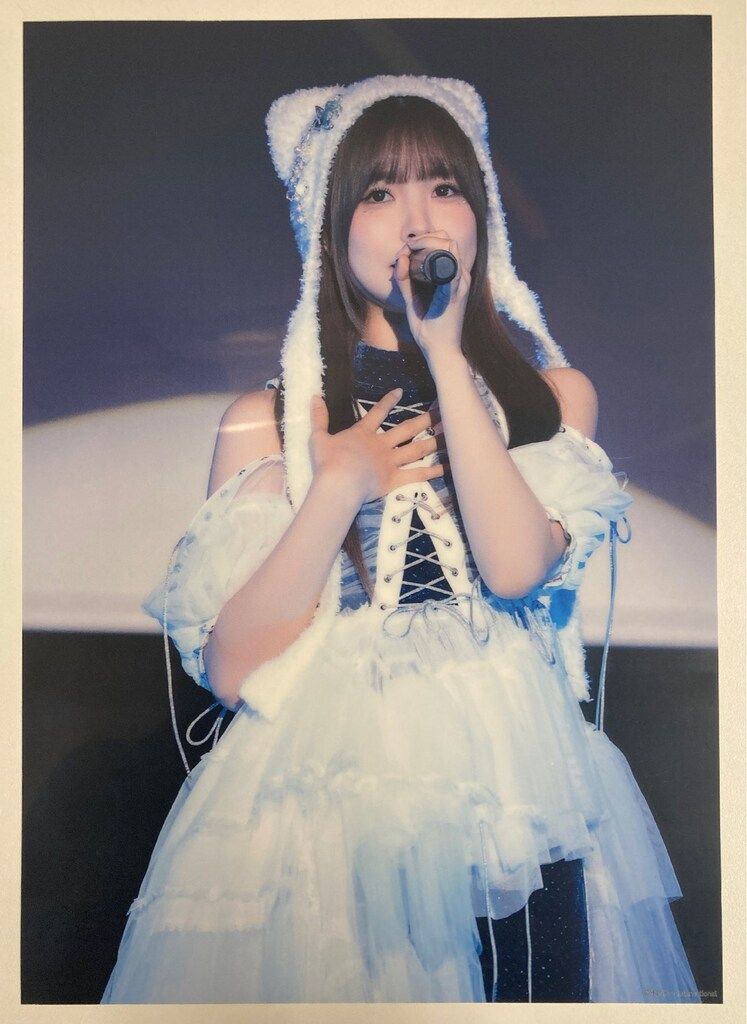 Liyuu's Birthday 2024 Liyuu D賞 A4クリアポスターB - メルカリ