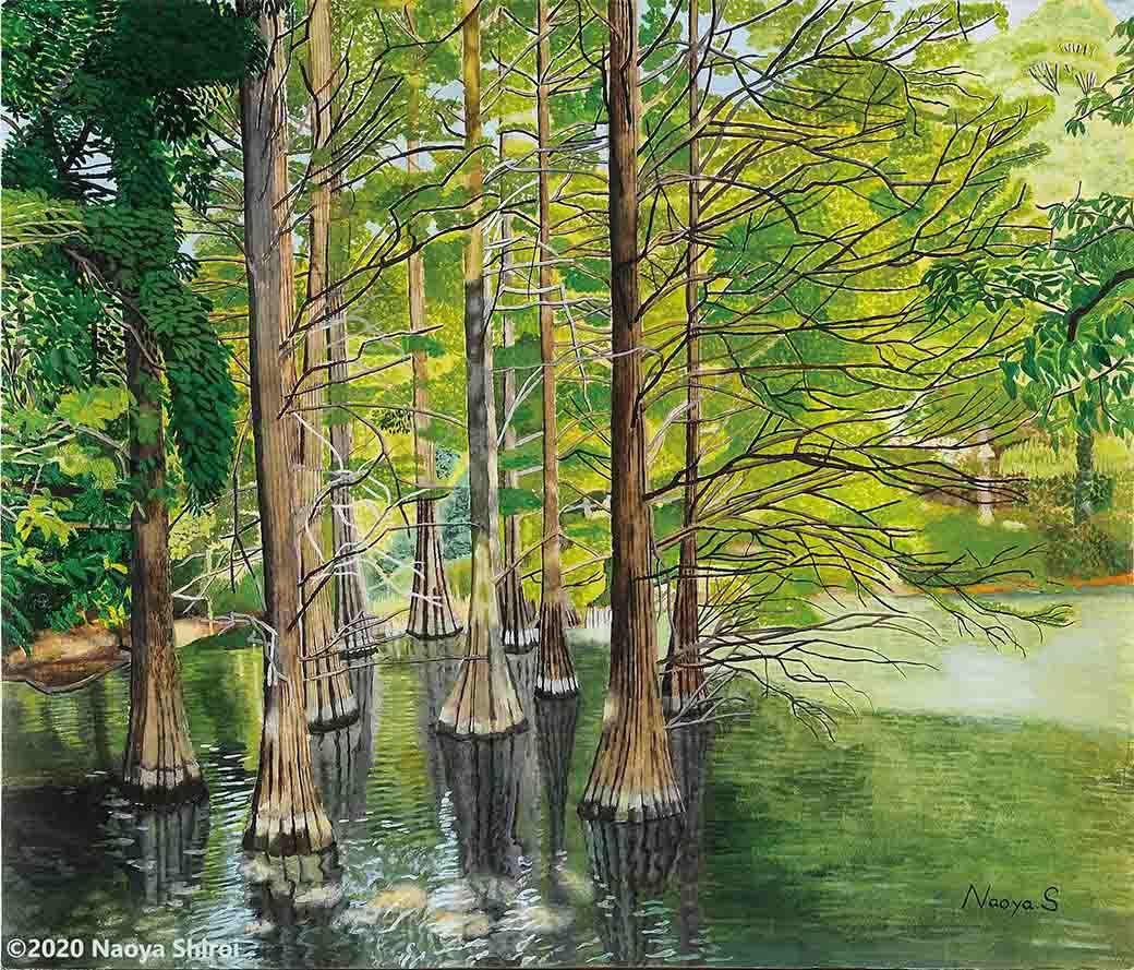 水彩画 ジクレー版画「篠栗九大の森」（糟屋郡） 水彩画 ジクレー版画