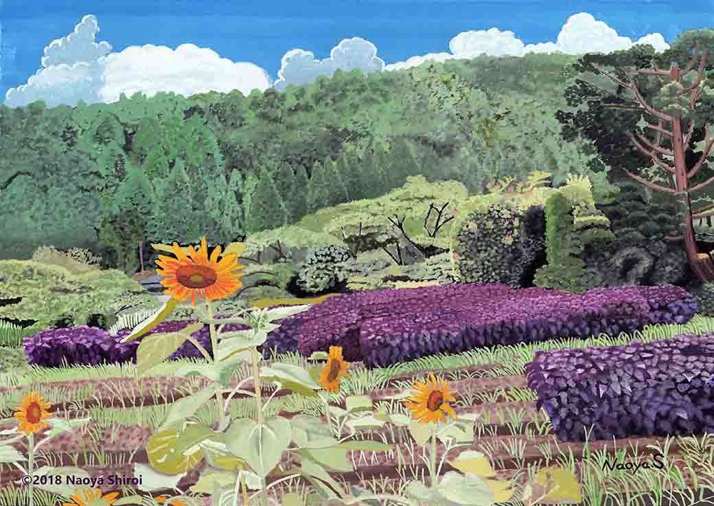 水彩画　ジクレー版画「紫蘇畑と向日葵」（京都市大原） 水彩画 ジクレー版画「紫蘇畑と向日葵」（京都市大原） - メルカリ