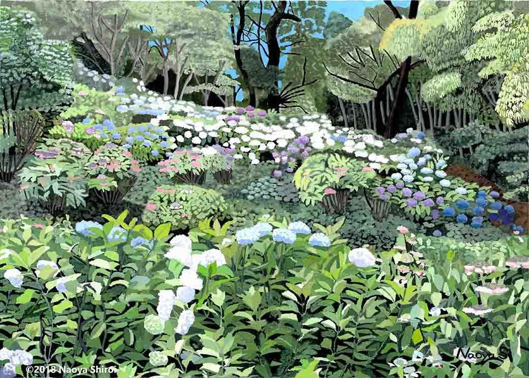 水彩画 ジクレー版画「高良山あじさい園」（久留米市） - メルカリ