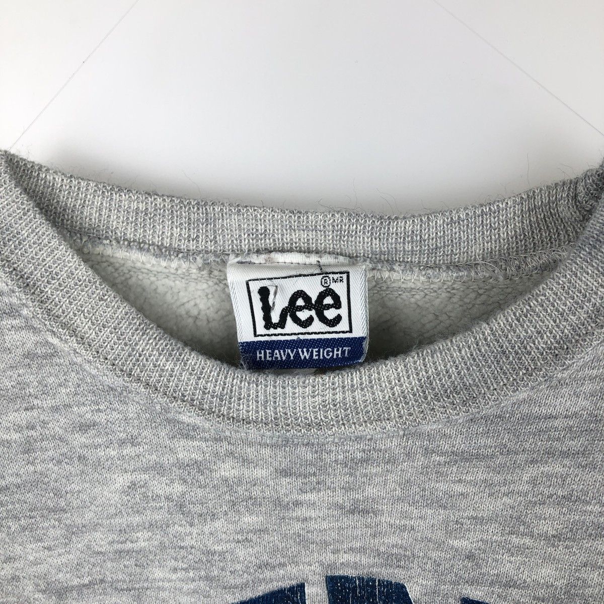 古着 90年代 リー Lee HEAVY WEIGHT PENN STATE ペンシルベニア州立