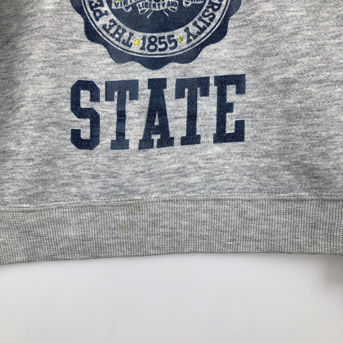 古着 90年代 リー Lee HEAVY WEIGHT PENN STATE ペンシルベニア州立