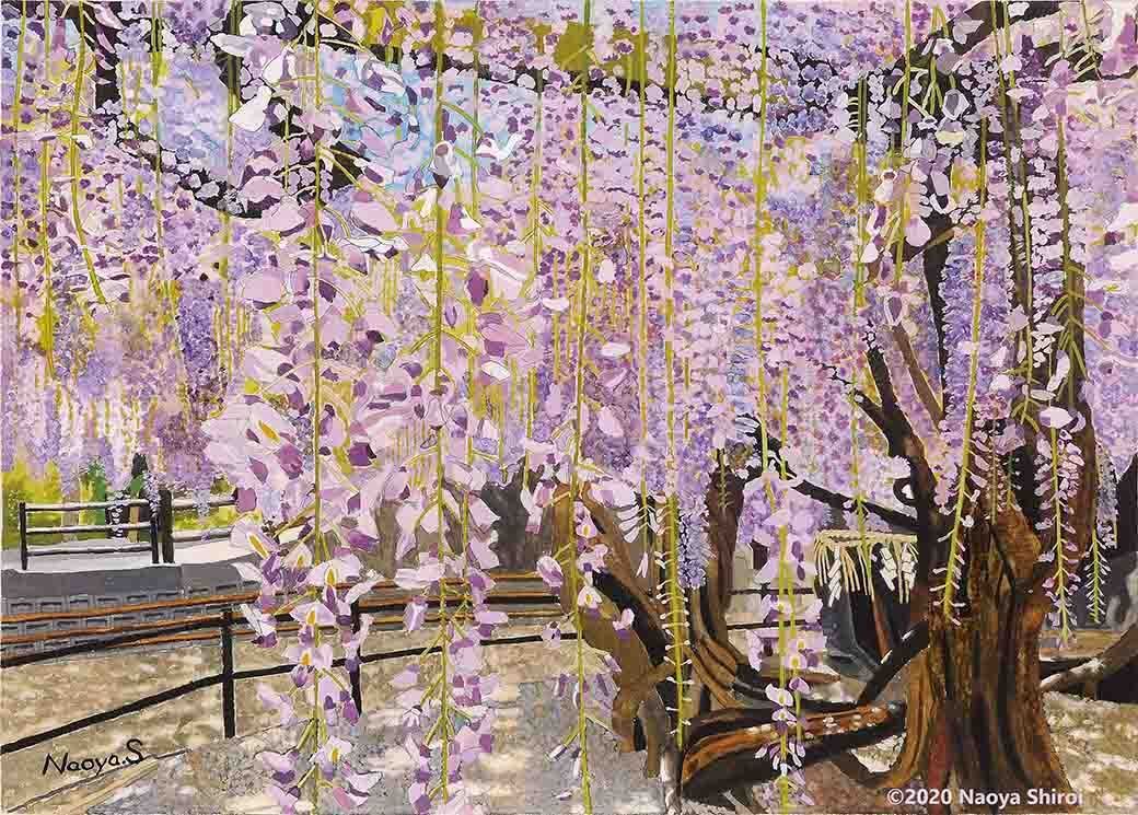 水彩画 ジクレー版画「中山の大藤」（柳川市） - メルカリ