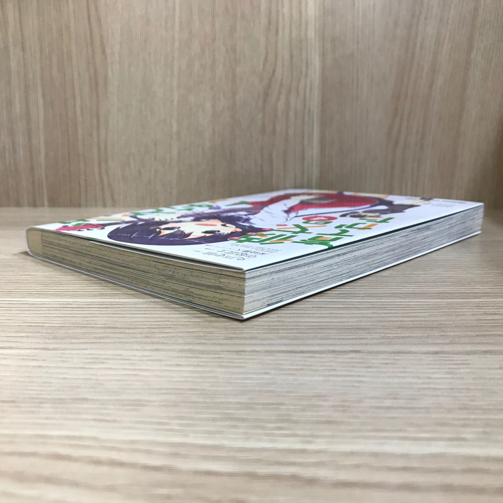 冴えない彼女の育てかた 4巻/【作者】丸戸史明/GF-0226001289-YP