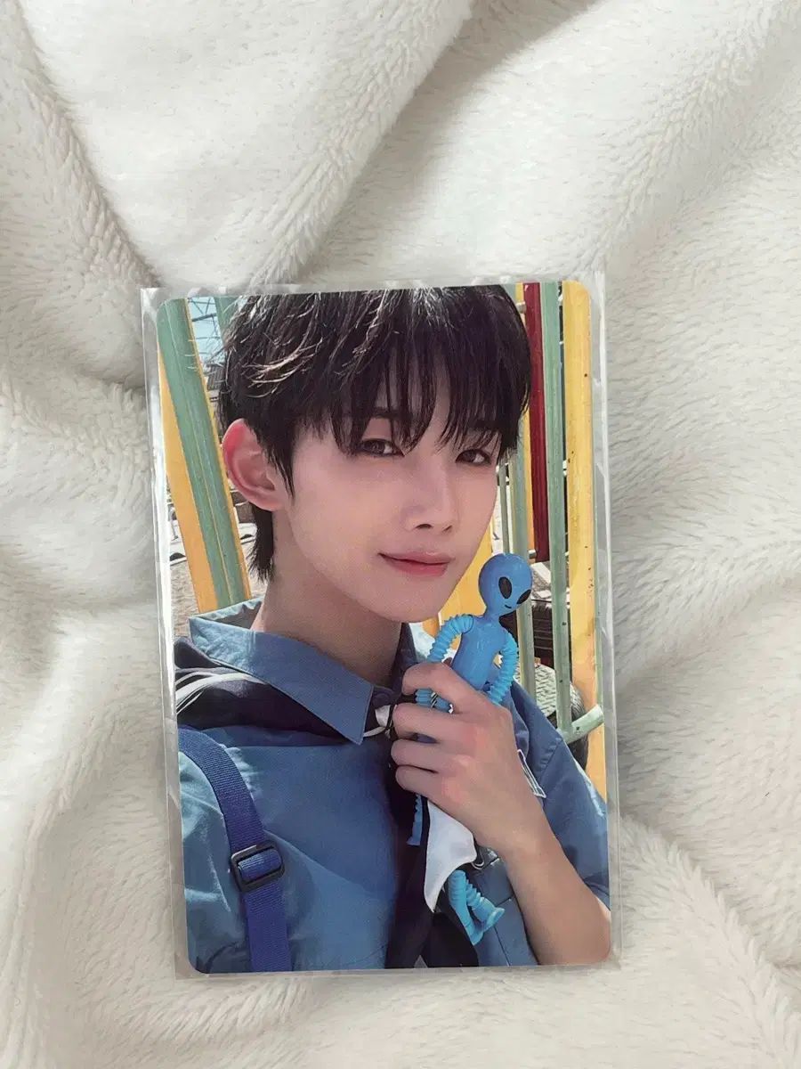 2025 アンドチーム シーグリ シーズングリーティング トレカ チョ チョ