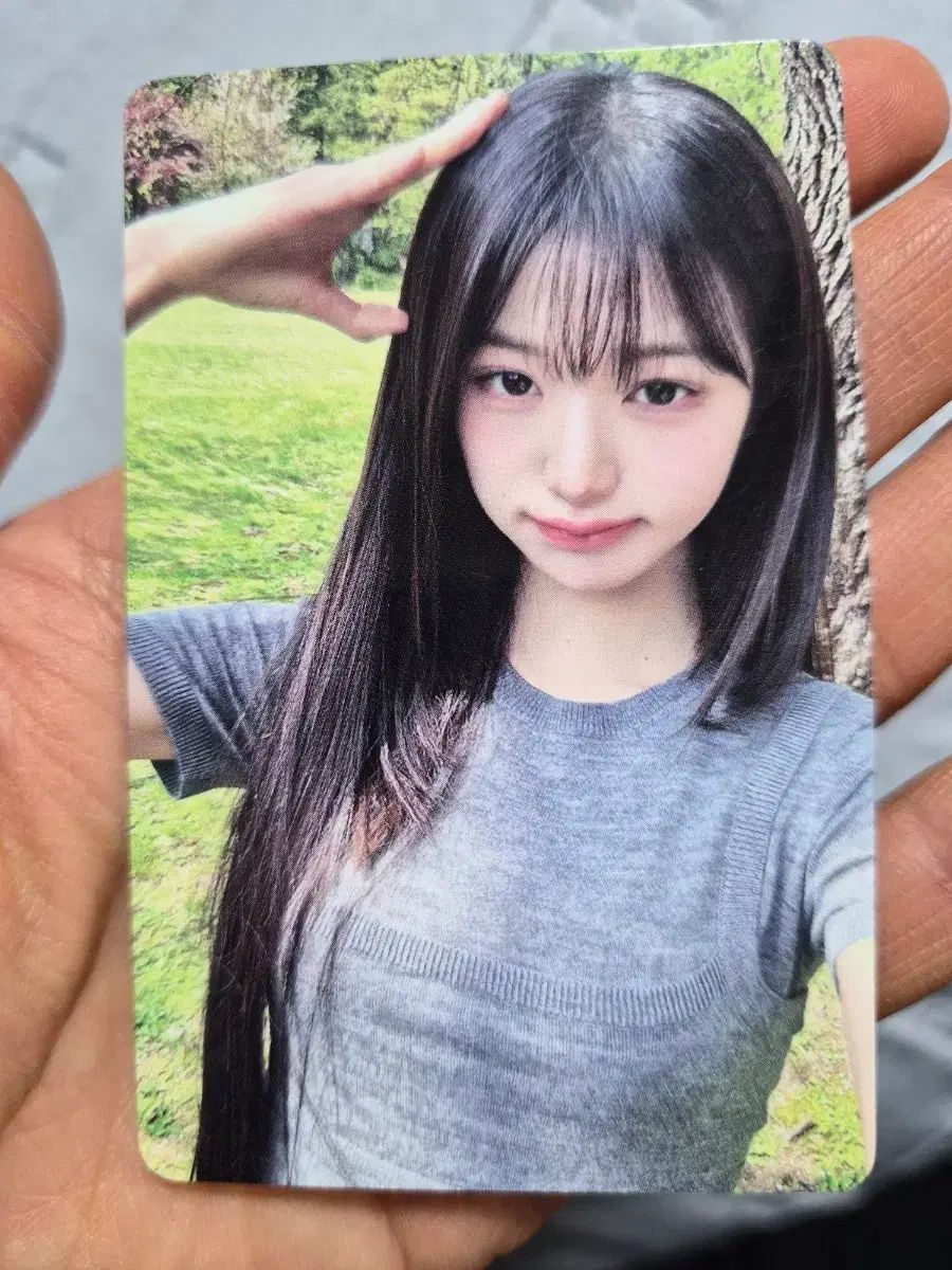 チャンウォニョン トレカ