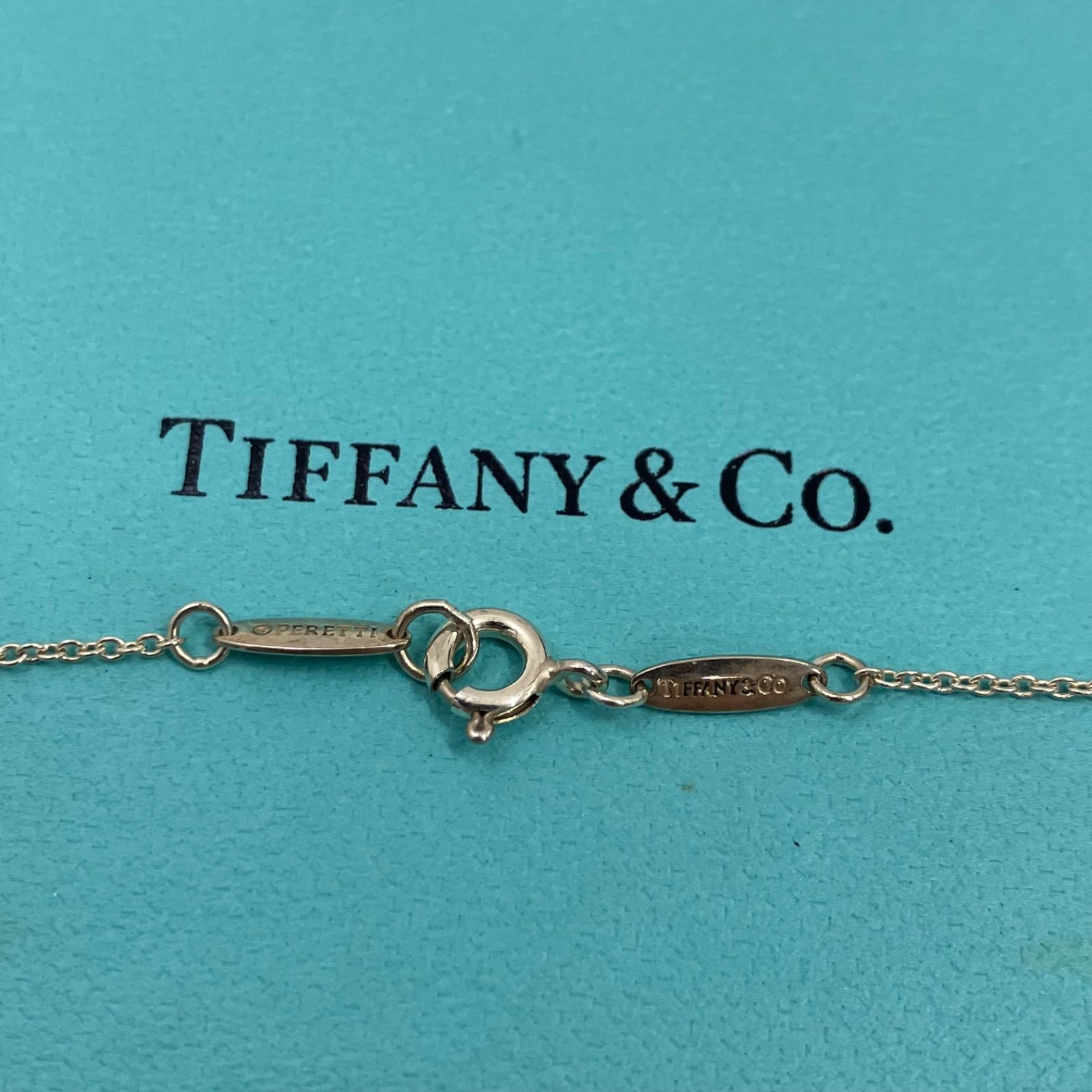 D9419 Tiffany&Co. ティファニーアンドコー エルサペレッティ セビアナ