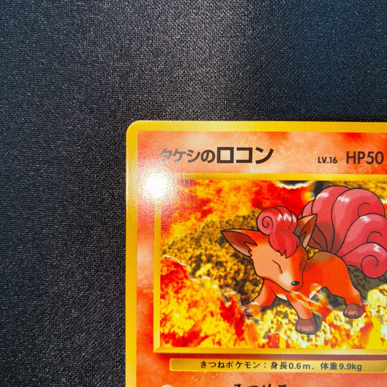 状態S 旧裏 タケシのロコン - メルカリ