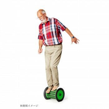 ンスをサポートする デンマーク