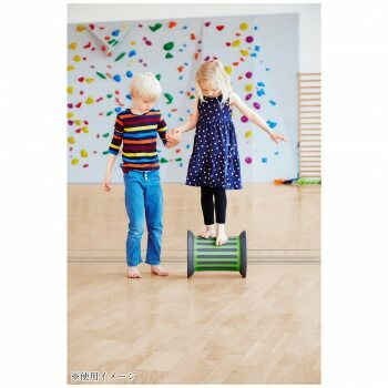  体幹 ンスをサポートする デンマーク ゴンゲ バレルローラー グリーン 644 0301 その他 おもちゃ