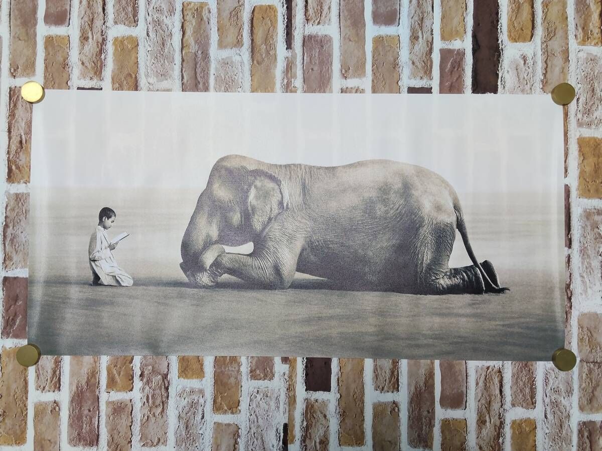 布製ポスター Ashes and Snow （グレゴリー・コルベール） #1:100㎝×50