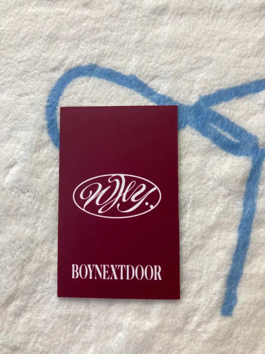 BOYNEXTDOOR テサン トレカ why