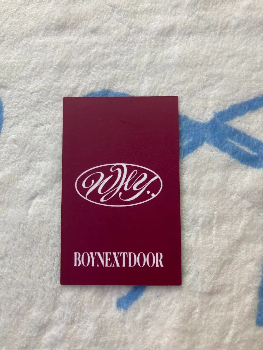 BOYNEXTDOOR ボイネク ウナク WOONHAK トゥー 写真 フォト PHOTO カード