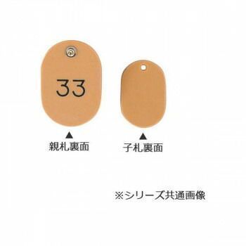 ORIONS 親子番号札 小判型 番号 51 100 大小 組 目玉クリップ付 ブルー CT 1 B