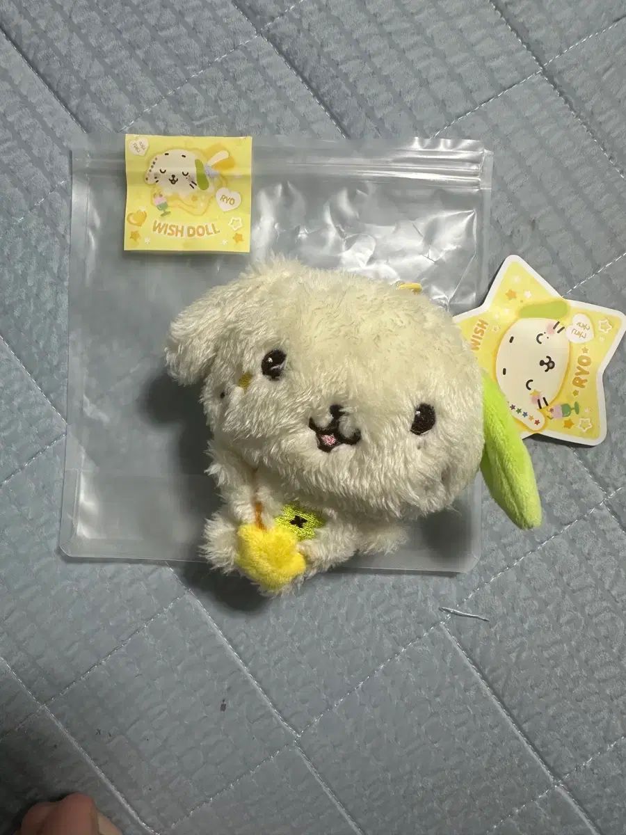 開封 外 出 2回 NCT エヌシーティー WIND AND WISH ドール 료 룐룐