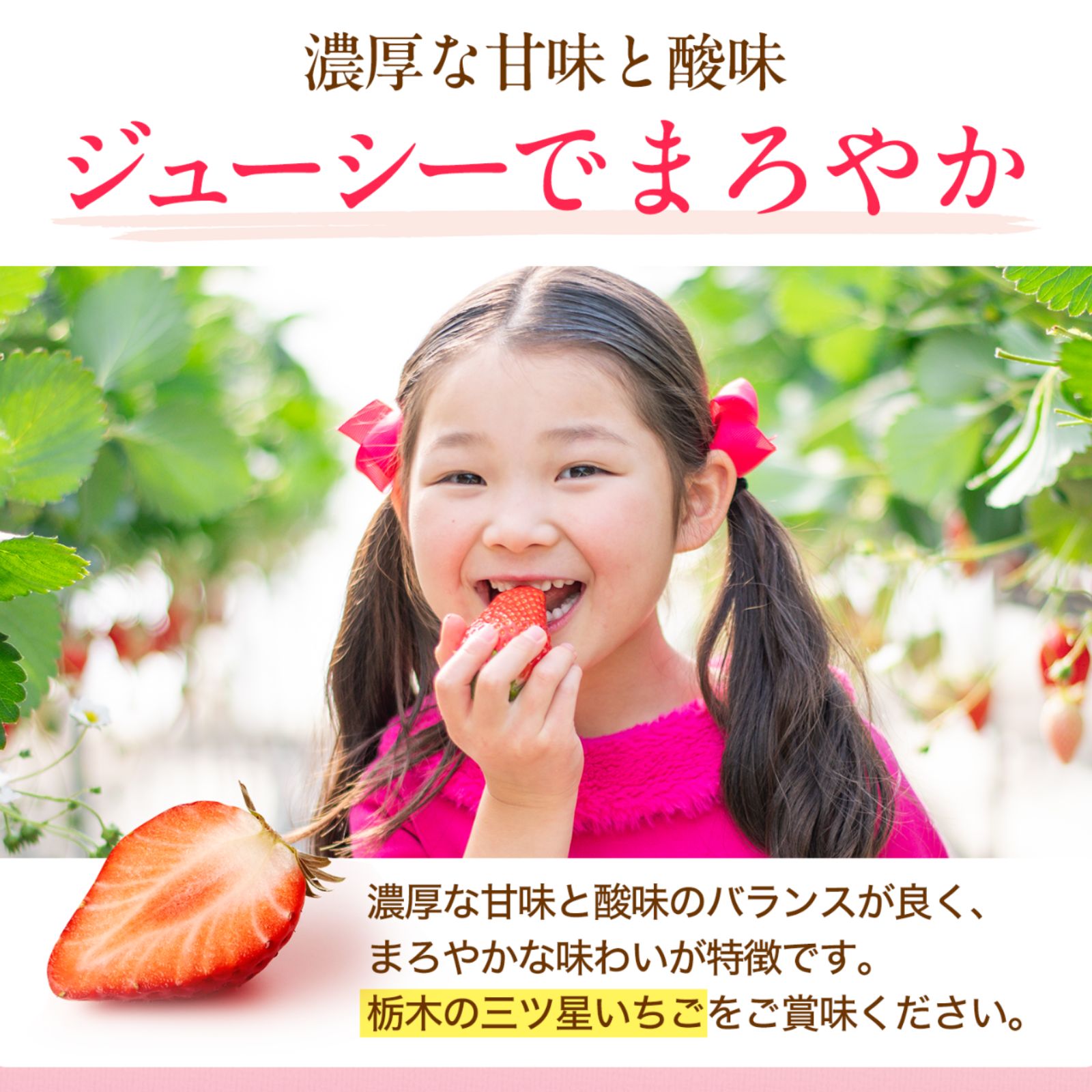 JA佐野】栃木県産 とちあいか 560g - メルカリ