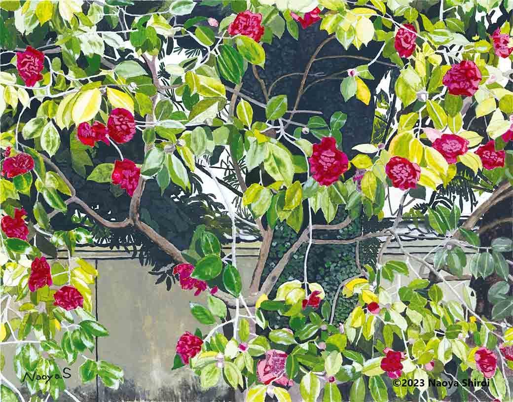 水彩画 ジクレー版画「早春のヤブツバキ」 - メルカリ