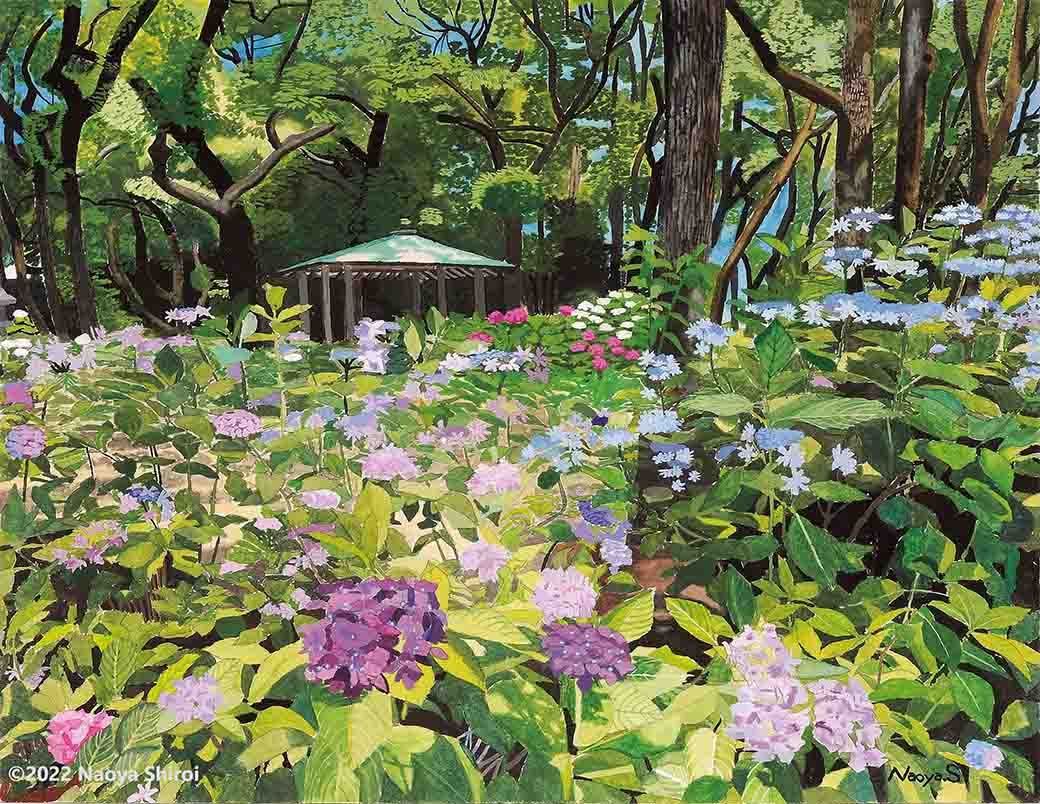 水彩画 ジクレー版画「筥崎宮あじさい苑」（福岡市） - メルカリ