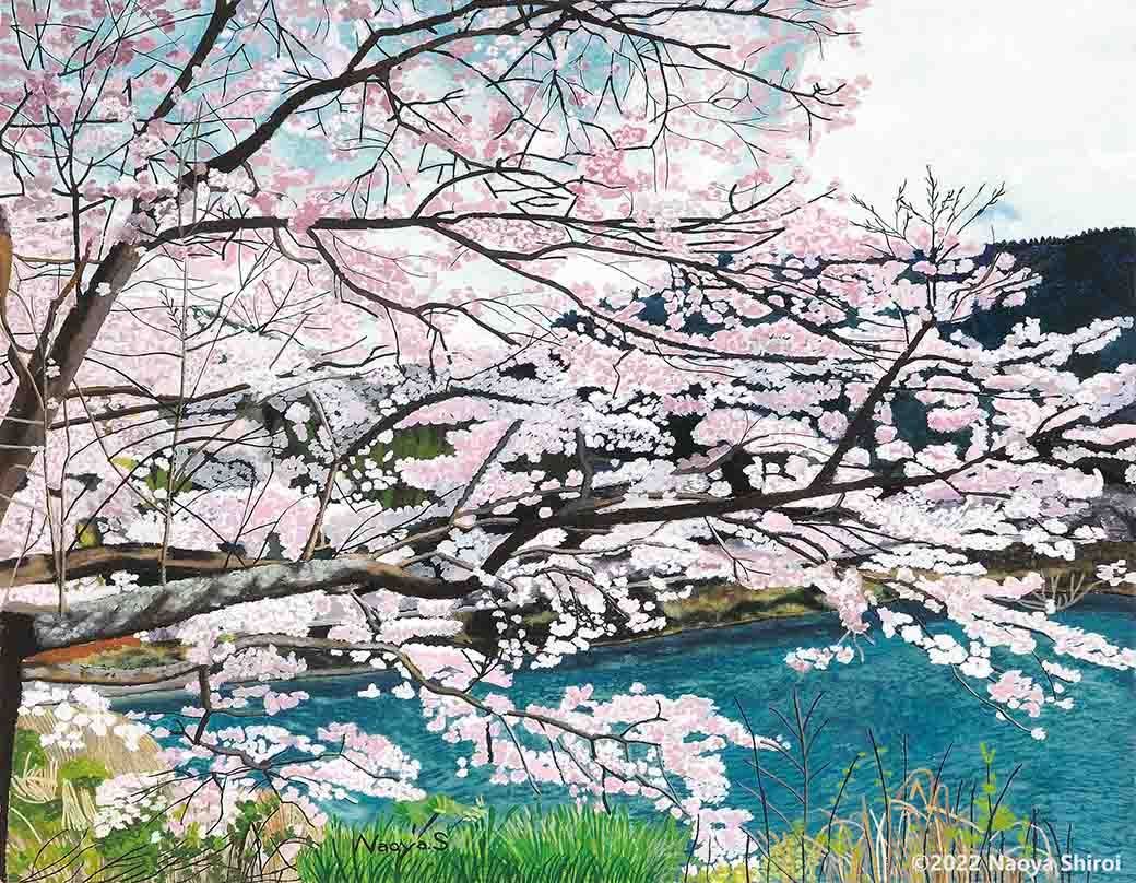 水彩画 ジクレー版画「日向神ダムの桜」（八女市） 水彩画 ジクレー