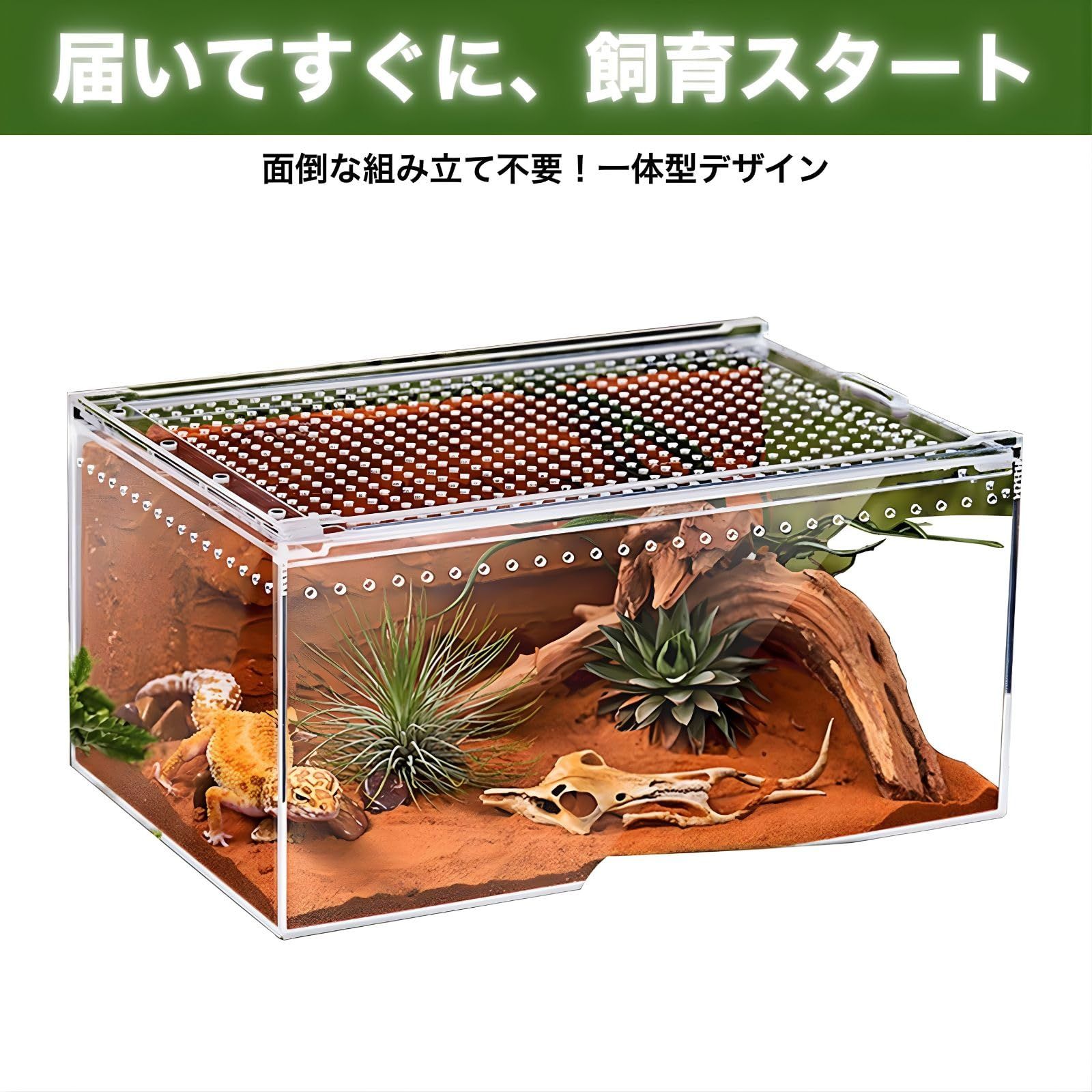 SESHIS 爬虫類 ケージ ボックス 飼育 ケース アクリル 透明 30x20x15cm