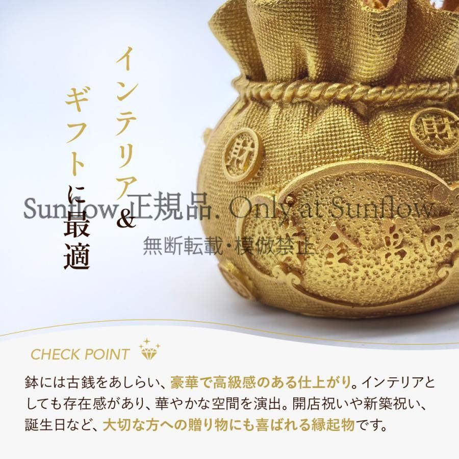 送料無料】風水 黄金木 招財樹 金のなる木 黄水晶 シトリン 風水