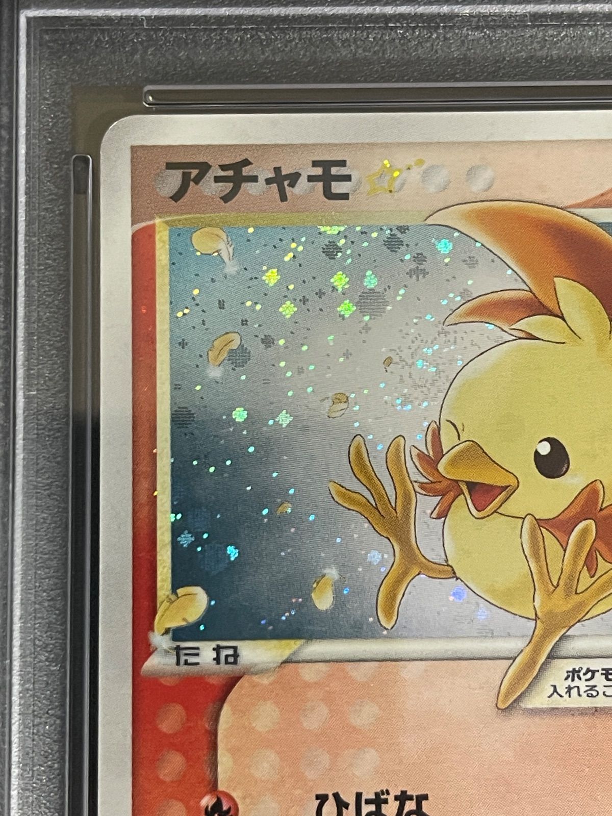 ポケモンカード 2004年 アチャモ ゴールドスター 020/084 