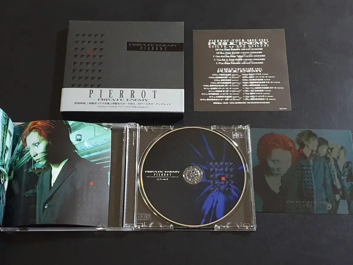 日本 ビジュアルシステム バンド Pierrot ピエロ アルバム PRIVATE