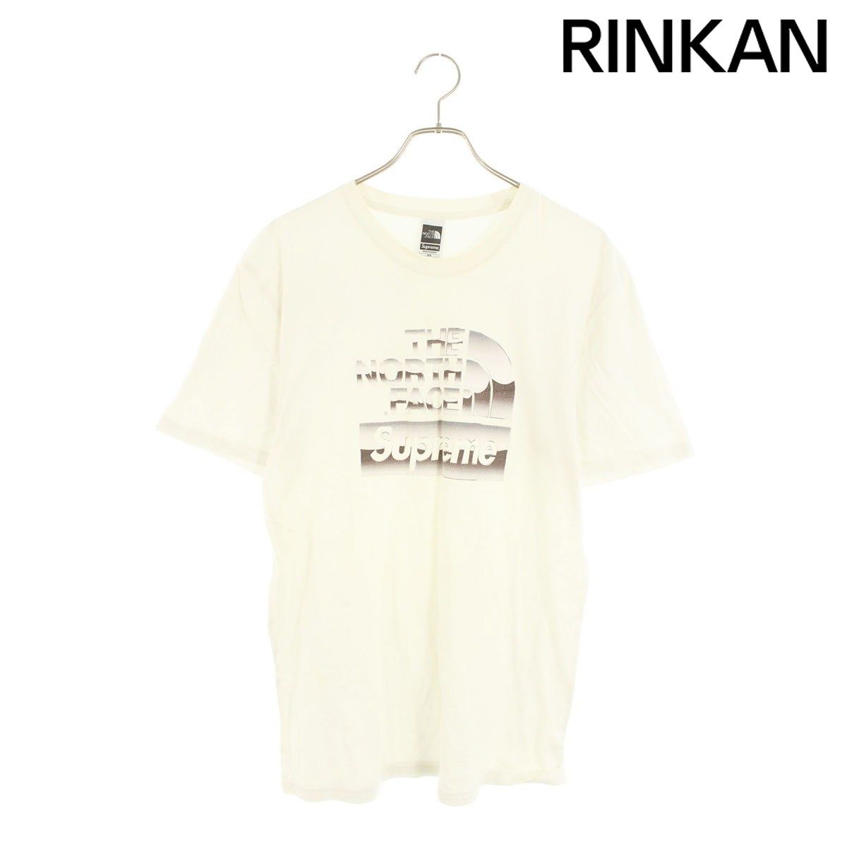 シュプリーム ×ノースフェイス THE NORTH FACE 18SS Metallic Logo Tee