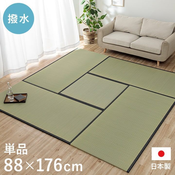 Top【選抜株】多肉植物 25390ジェード リング 16個 鉢無し/脱土 【公式