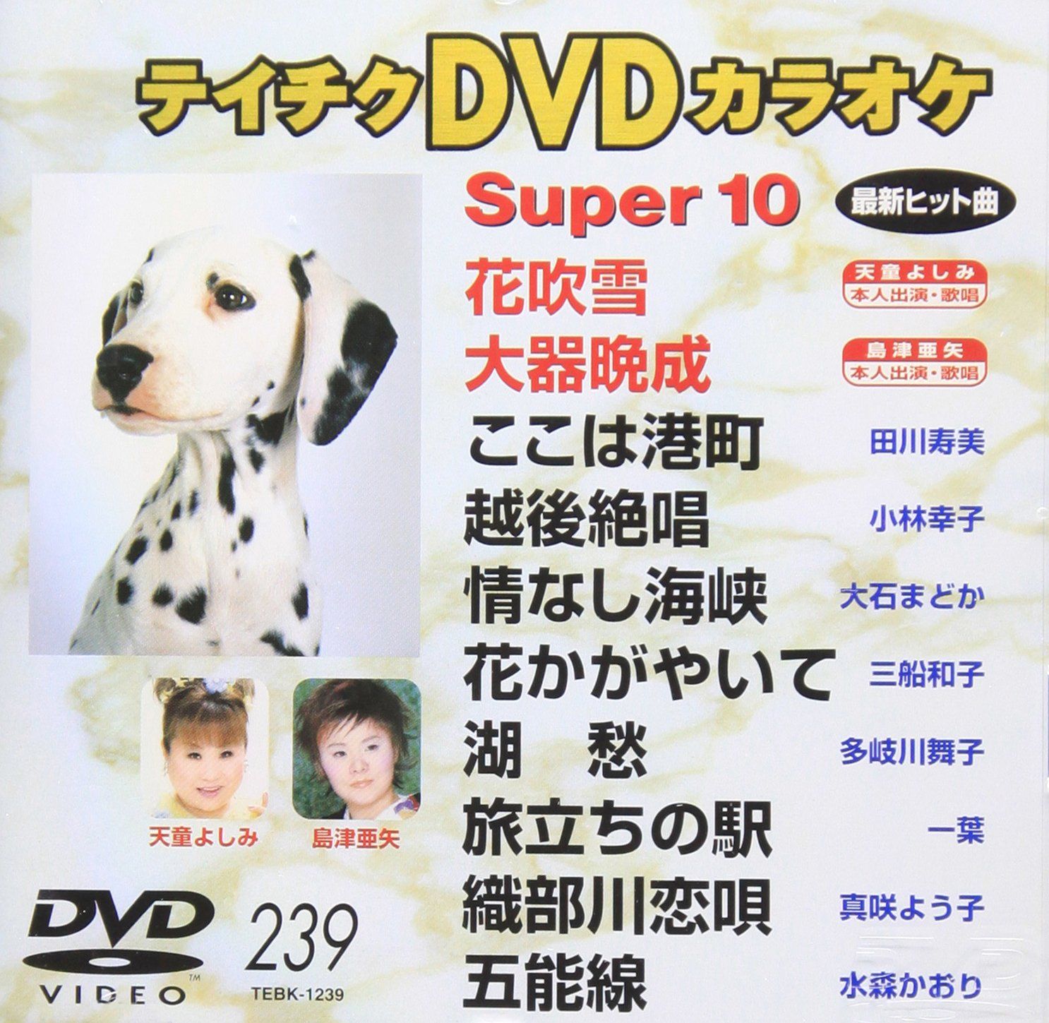 テイチクDVDカラオケ スーパー10(239)(中古品) - メルカリ