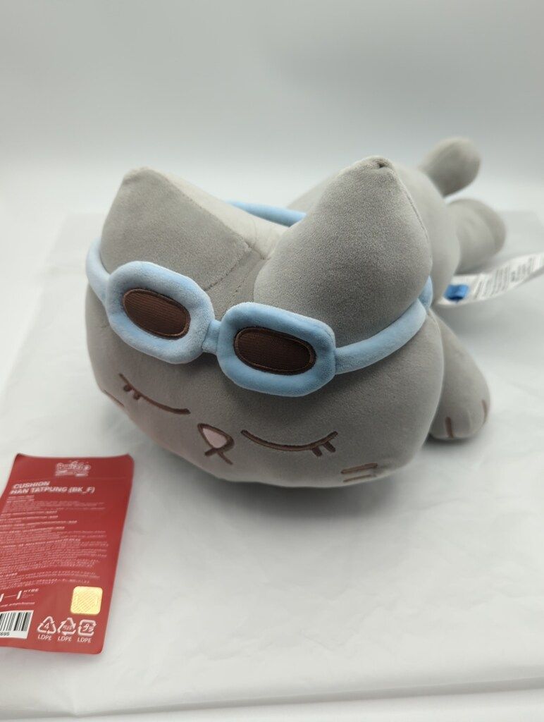 BOYNEXTDOOR BBNEXDO TAESAN クッション