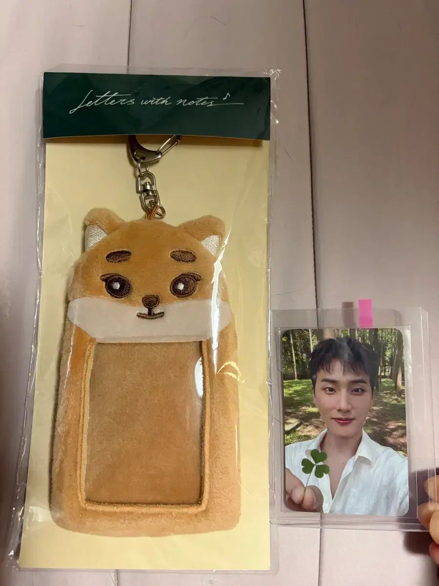 DAY 6 ヨンケイ ソロ コンサート グッズ デニマルズ DENIMALZ ケ トレカホルダー