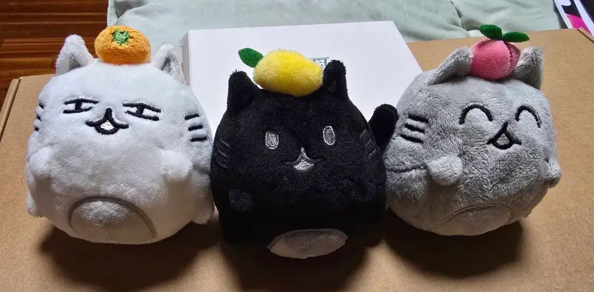 SEVENTEEN(セブンティーン・セブチ) ミニ ぬいぐるみ ジュン(JUN) IN